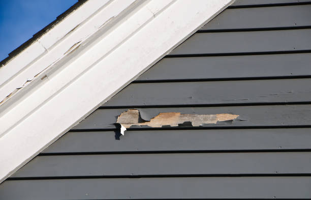 Best Brick Veneer Siding  in River Hills, WI