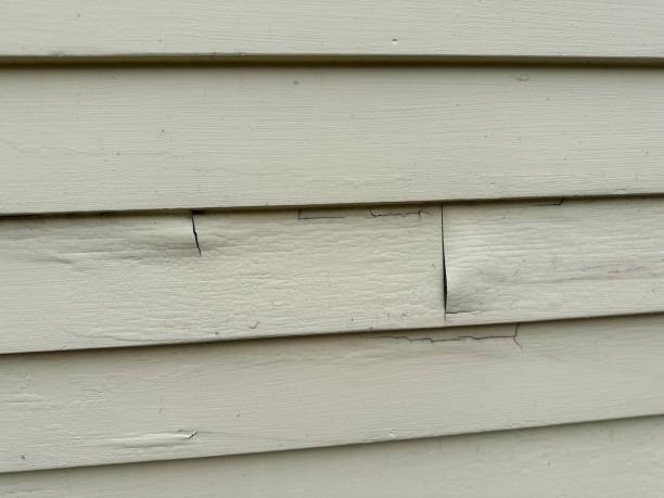 Best Stucco Siding  in River Hills, WI
